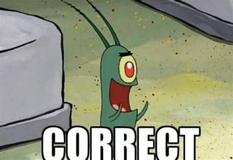 plankton spongebob meme|plankton correct gif.